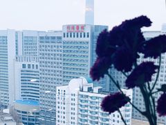 -华中科技大学同济医学院附属同济医院(汉口院区)