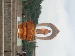 东林大佛-东林大佛