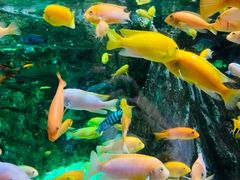 -太平洋海底世界