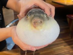 -永安鱼庄·镇江菜(丁卯店)