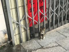 -五福堂龟苓膏(河东北山店)