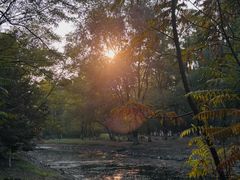 -长白岛森林公园