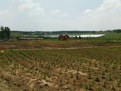 -北纬44度·金珠花海休闲农业旅游景区