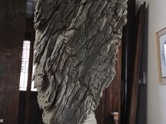 -月栖华明-云间草堂清茶馆(泗泾古镇店)