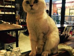 -MIKAKU(万达广场上海宝山店)