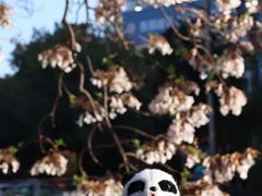 -红星桥(地铁站)