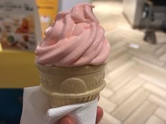 -麦当劳(塔园路店)