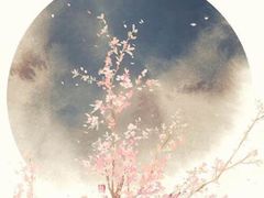 -周沫西餐(漫广场店)
