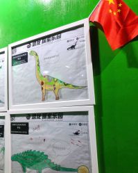 -恐龙探索乐园(磁器口店)