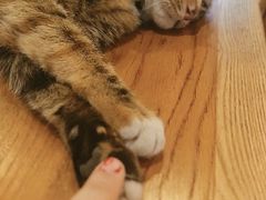 -猫的天空之城概念书店(杭州南宋御街店)