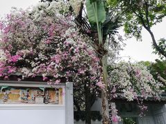 -深圳国际园林花卉博览园