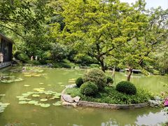 -云溪植物园