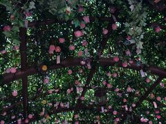 -芜湖方特东方神画