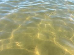 -碧海金沙