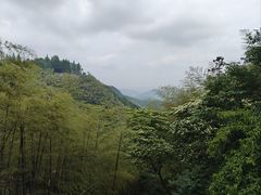 -莫干山风景区