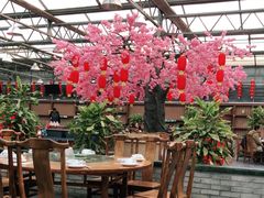 大堂-老磨油饼(高陵店)