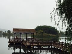 -上海市保健医疗中心(华东疗养院)