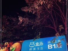 -盒马鲜生(杭州运河上街店)