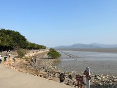 -深圳湾公园(南山区)