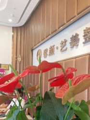 -佛山艺美医疗美容·整形·美肤·塑形