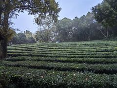 -敬亭山风景名胜区