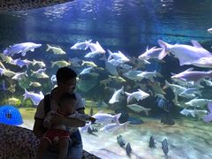 -成都浩海立方海洋公园