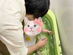 -田螺阿姨自营月嫂·育儿嫂(高新店)