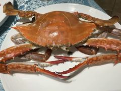 -北塘海鲜·天津菜(大光明桥旗舰店)