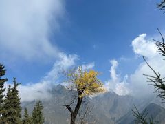 -天山天池风景区-西王母祖庙