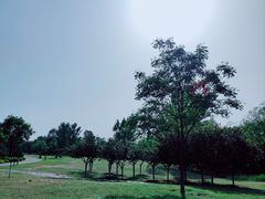 -西安浐灞国家湿地公园