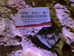 -周口店北京人遗址公园