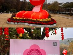-桃花涧
