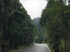 -木兰云雾山