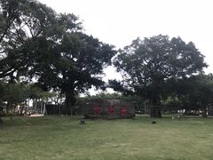 -万绿园