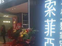 -索菲亚衣柜橱柜全屋定制(真北红星店)