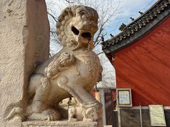 -药王庙(安国市)