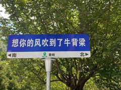 -牛背梁国家森林公园