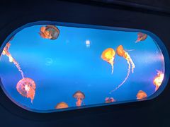 -太平洋海底世界