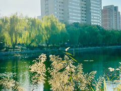 -太阳宫公园