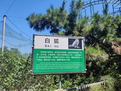 -西霞口神雕山野生动物世界