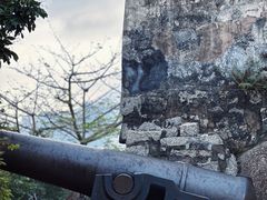 -大炮台