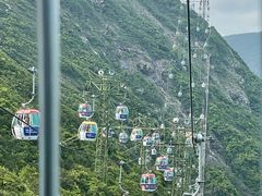 -香港海洋公园