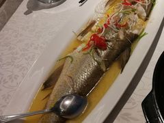 鸡汁大白鱼-颂福楼·南京菜(定淮门店)