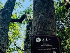 -绮园景区
