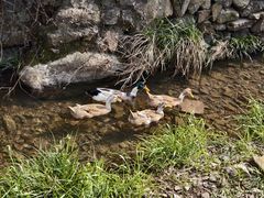 -会稽山峡洞漂流-上青古道