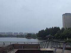 -桃花岛公园