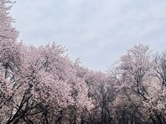 -秦始皇帝陵博物院(兵马俑)