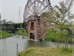 -王借岗森林公园
