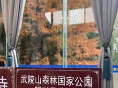 -武陵山森林公园
