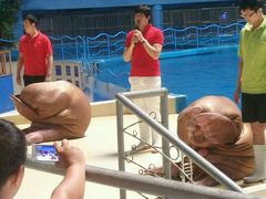 android_upload_pic-泉城欧乐堡海洋极地世界